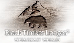 Loggo_vemdalsskalet_wood